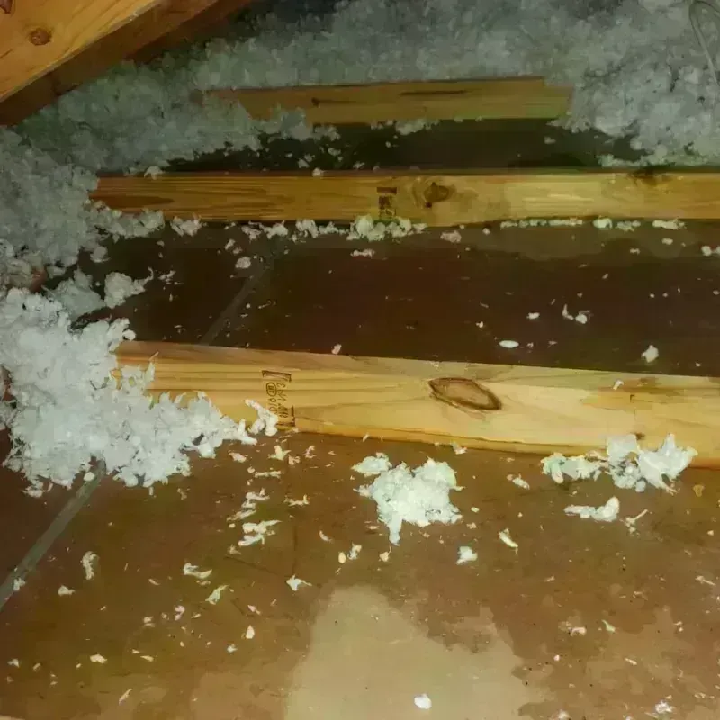 Attic Water Damage in Roanoke, IL