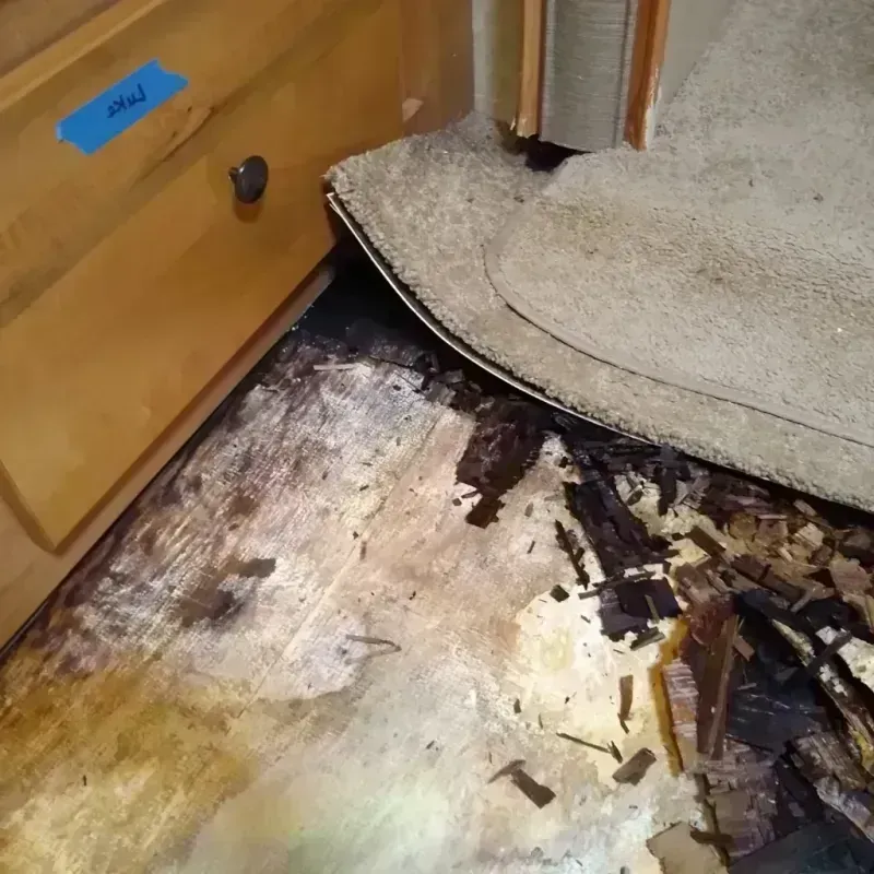 Wood Floor Water Damage in Roanoke, IL